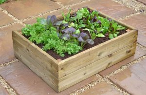 Raised bed