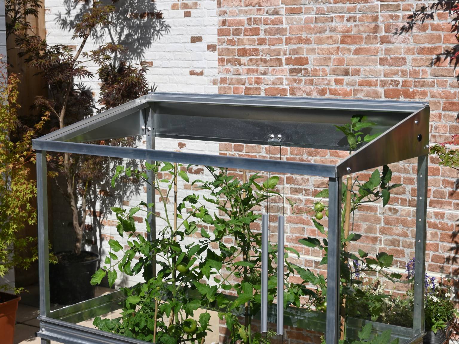 Tomato House | Access Garden Products