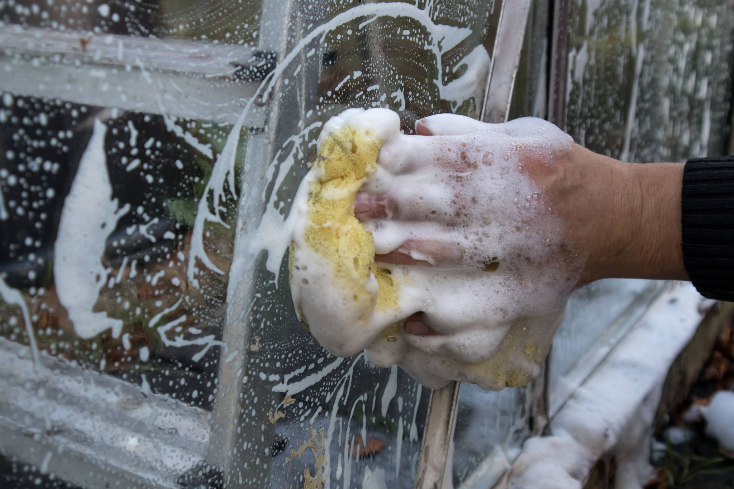 How to clean your Greenhouse | Access Garden Products