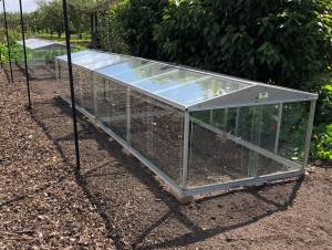 Cold Frames placed on a soil base